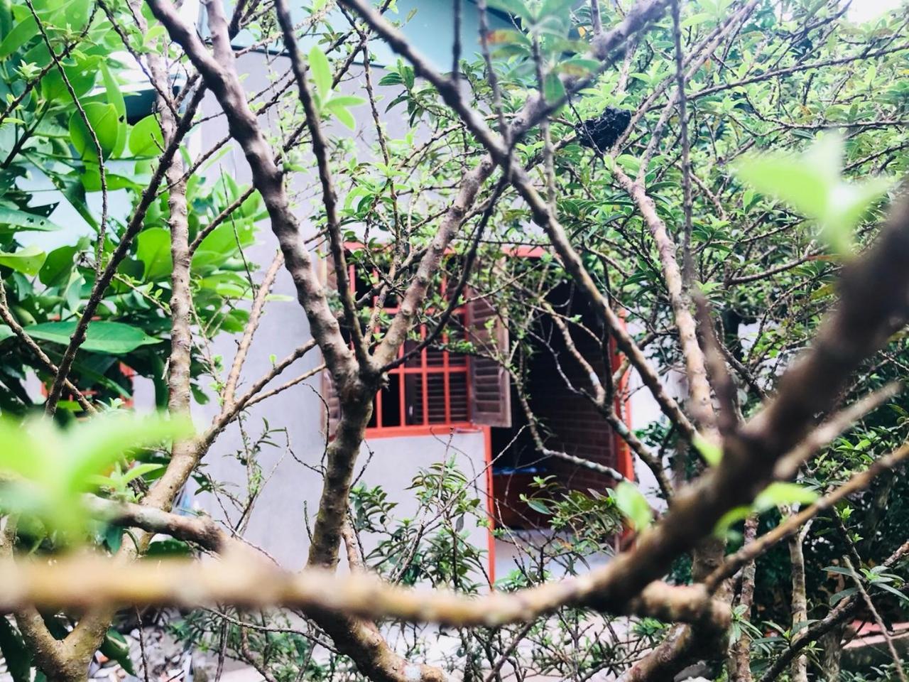 Mekong Rustic Cai Beアパートメント エクステリア 写真